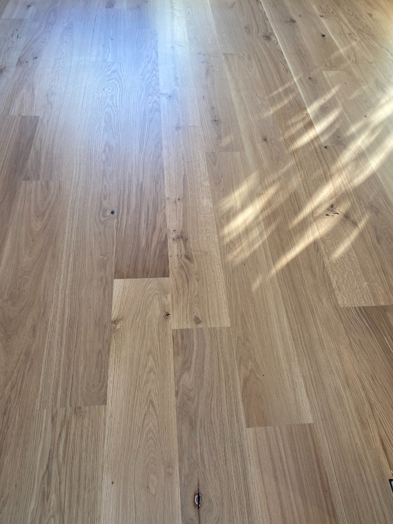 Photo Dec 02 2020, 8 49 39 AM.jpg